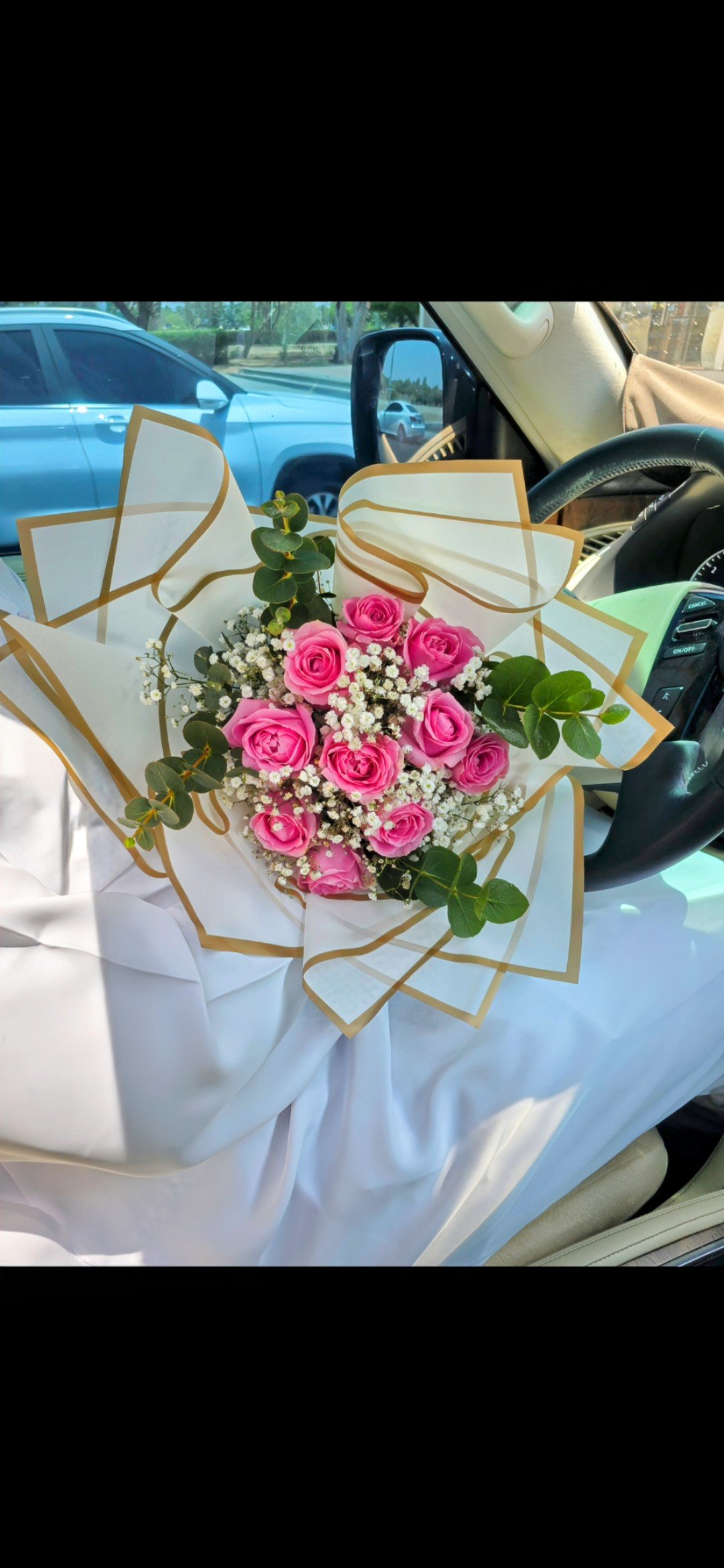 Pink roses and gyp